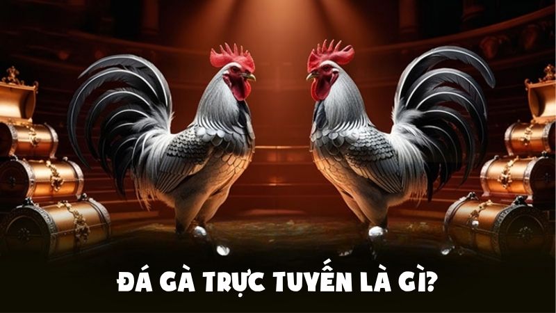 Đá gà trực tuyến là gì?
