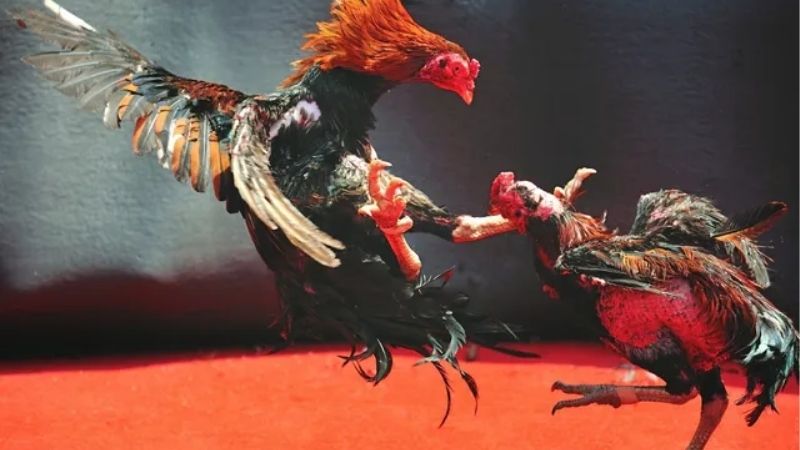 Đảm bảo công bằng tuyệt đối nhờ cơ chế minh bạch rõ ràng