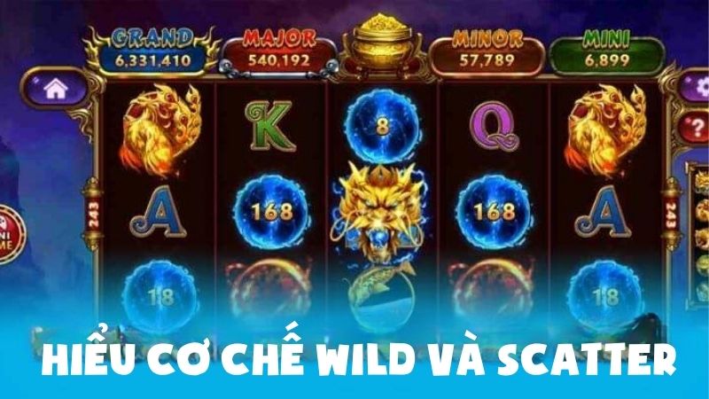 Hiểu cơ chế wild và scatter
