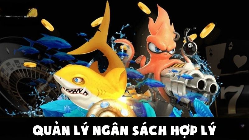 Mẹo chơi bắn cá - Quản lý ngân sách hợp lý