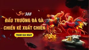 SV388 - Sân chơi cá cược đá gà minh bạch