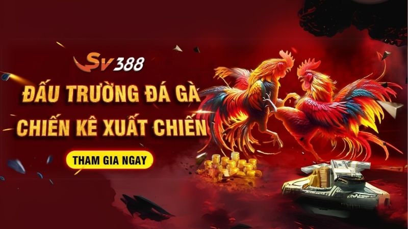 SV388 - Sân chơi cá cược đá gà minh bạch