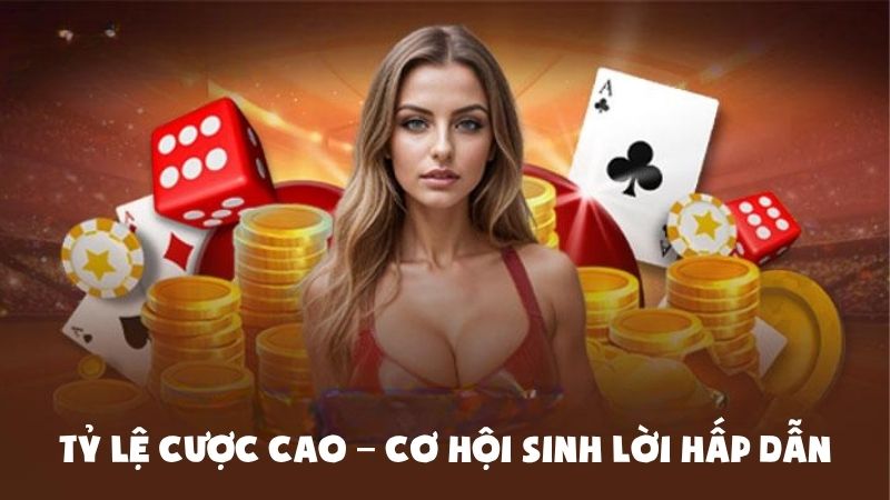Tỷ lệ cược cao - Cơ hội sinh lời hấp dẫn