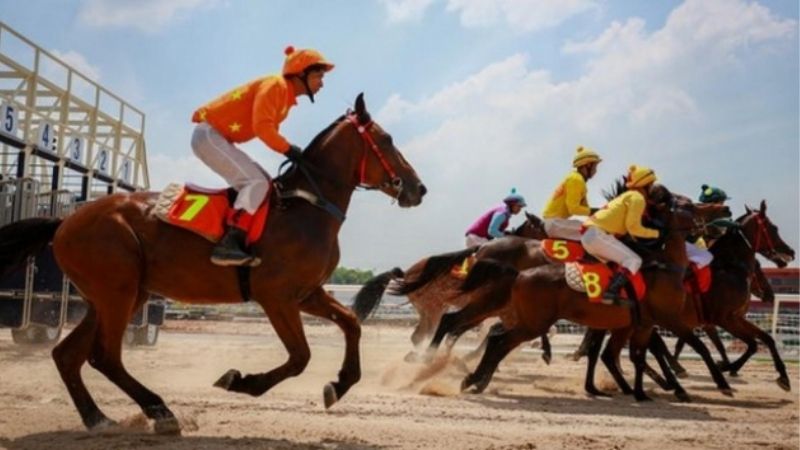 Ưu điểm mà cá cược đua ngựa trực tuyến mang lại